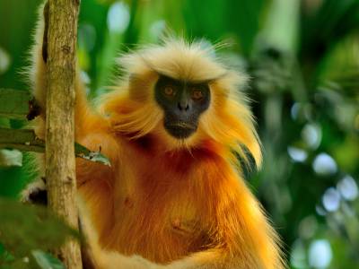 Bongaigaon District Assam